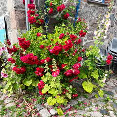 24-07-01 17-03-23 0083